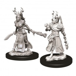 Eroi: Umano Druido Femmina