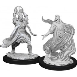 Elfo Stregone Maschio