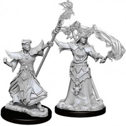 Umano Stregone Maschio