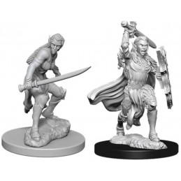 Elfo Guerriero Femmina