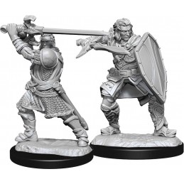 Umano Paladino Maschio