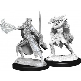 Eladrin Invernale e...