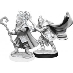 Hobgoblin Mago e Druido...