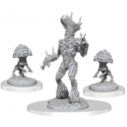 Miconide Sovrano e Germogli