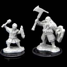 Nano Guerriero Maschio