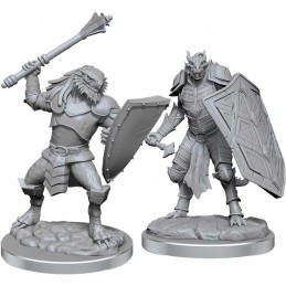 Dragonide Chierico Maschio...