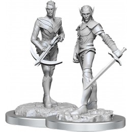 Drow Guerriero Maschio e...