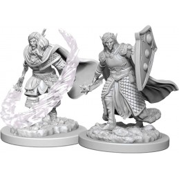 Elfo Chierico Maschio