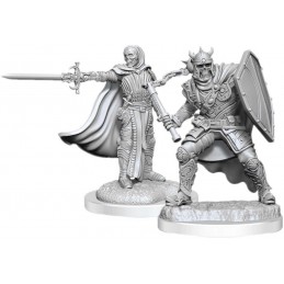 Cavaliere della Morte