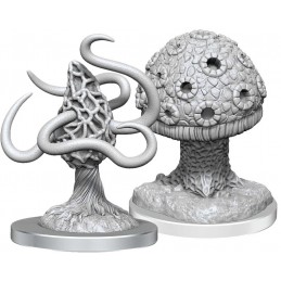 Shrieker e Fungo Viola