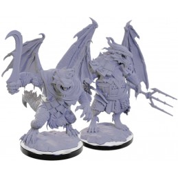 Draconiano Soldato e Mago...